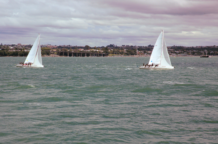DSC_0033.png