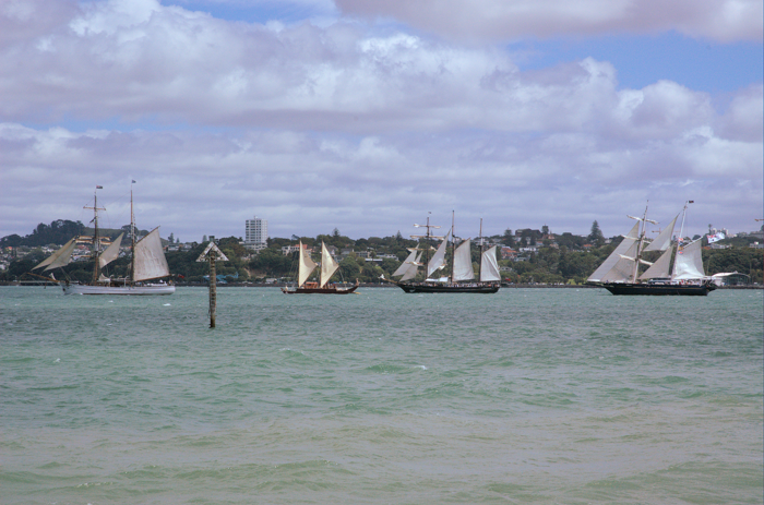 DSC_0048.png