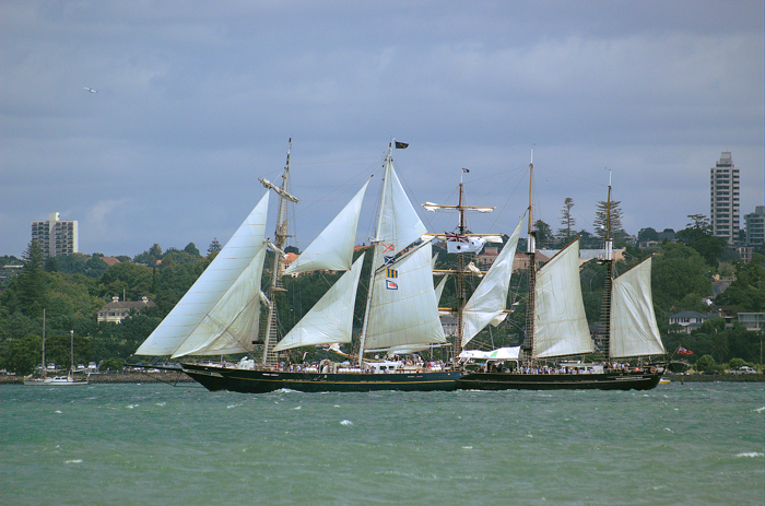 DSC_0055.png