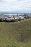 DSC_0028.png