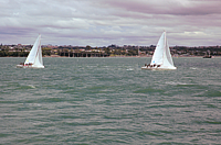DSC_0033.png
