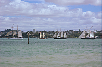 DSC_0048.png