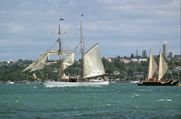 DSC_0050.png