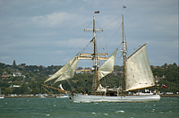 DSC_0051.png