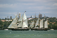 DSC_0054.png