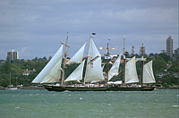 DSC_0055.png