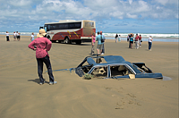 DSC_0236.png